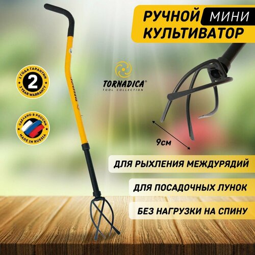 ���� ������ ���� ����������� ��������� , �������������� ��� ����������� ����� ����� ��������� � ���������� ��������