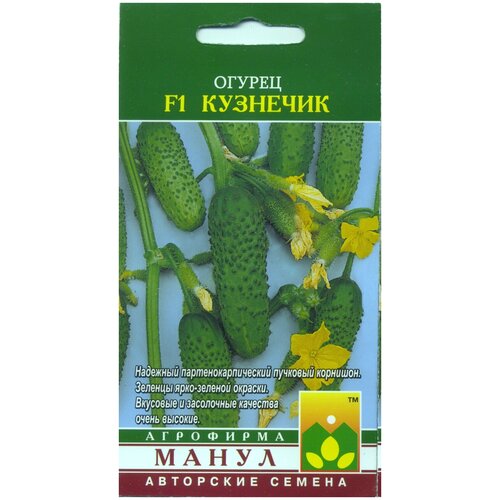 ���� ������ �������� F1