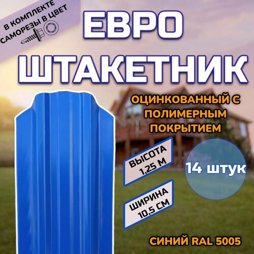 ���� ��������� ������������� �������� (������, ����������) 14 ����.(������ � ���������)������������� �����, ���� RAL 5005 �����, ������ 1.25�, ������ ������ 105��)�����