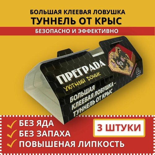 ���� ������� ������� �� ����, �������� ������� 3 ��