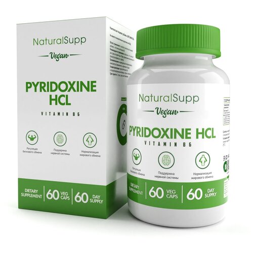    6   NATURALSUPP Vegan Pyridoxine B6 (60 )  -     , -  