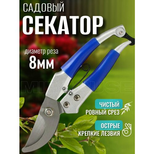 ���� ������� �����������