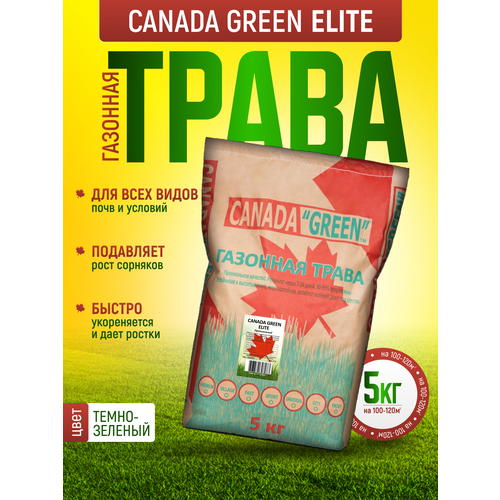 ���� �������� ����� ������ ������ ���� ������� 5 �� / ������ ���� ���� 5�� / ������ ������ �������, ������, ��������