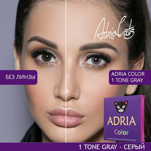     ADRIA Color 1 tone, 2 ., R 8,6, D 0, gray, 1 .  -     , -  