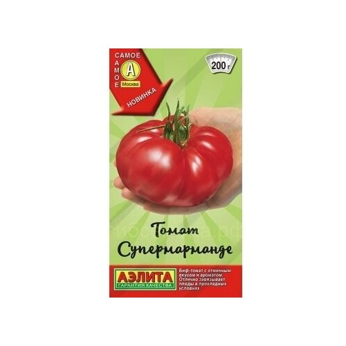 ���� ������ ����� ������������� 20 ��. ������. �������