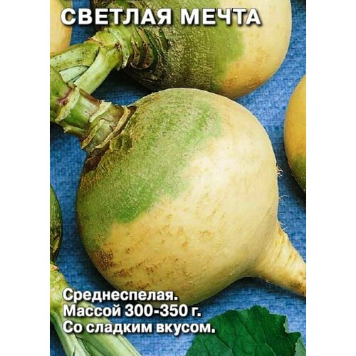 ���� ������ ������ ������� �����