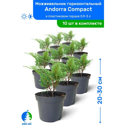    Andorra Compact ( ) 20-30    0,9-3, ,   ,   10