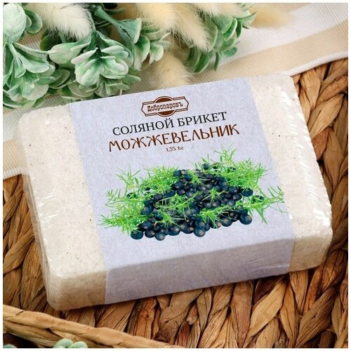 ���� ������� ������ � ��������������, 1,35 ��