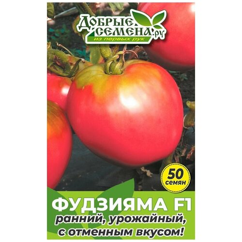 ���� ������ ������ �������� F1 - 50 �� - ������ ������. ��