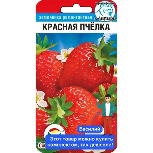 ���� ������ ������ ��������� ��� 