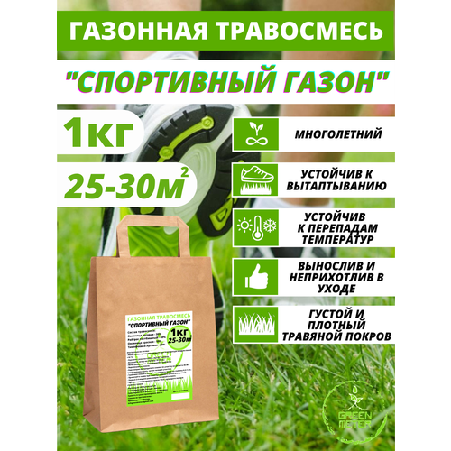 ���� �������� �����, ������ ������ 1 ��