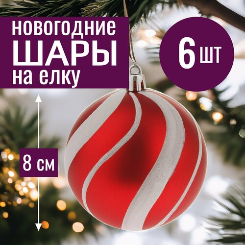 ���� ���� �� ���� ���������� 8�� ����� ������� ������� ������� 6 �� �������