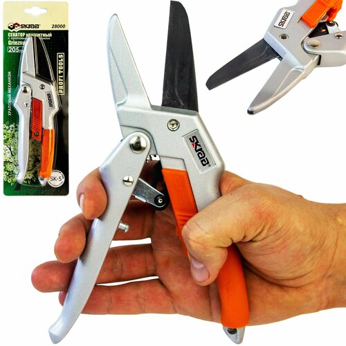 ���� ������� ������� (��������) � �������� ���������� (��� ������), ����������������, �������� �����. ���� 24 ��.