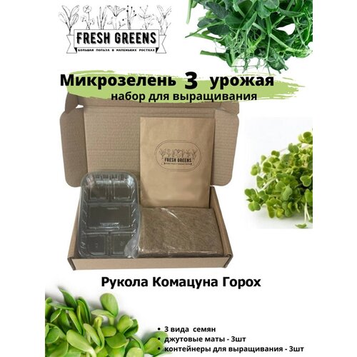       Fresh Greens (  )  -     , -,   