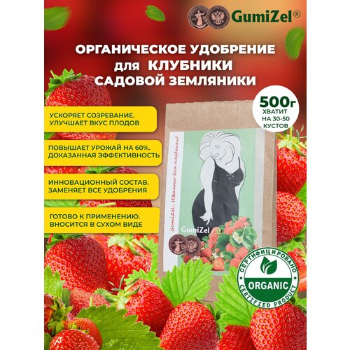   GumiZel     / /   ,      500  -     , -,   