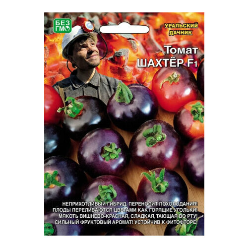 ���� ������ ����� ������ 12�� ����� (��������� ������)