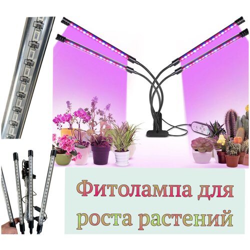       .   .   LED    , 4 