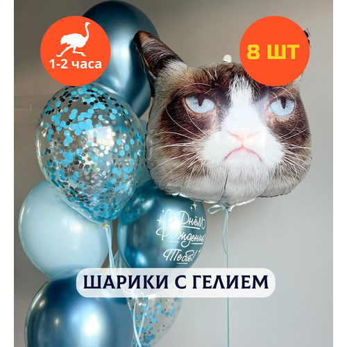 ���� ������ ��������� �� ���� ��������, ��������� ���� � ������, ���� � ���� ��������, ����� ����� ��� ������� 