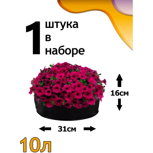���� ������ ���� 10� - 1��