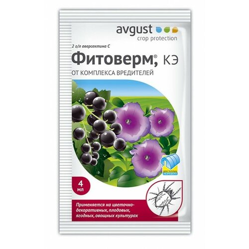 ���� �������� ������ �� ��������� ���������� ��� ����, �������� (������ 4 ��)