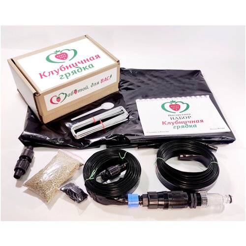 ���� ������ 