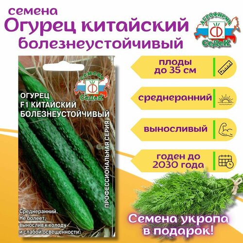 ���� ������ ������� ������ ��������� ����������������� F1 0,2�+ ������ ������ � �������.