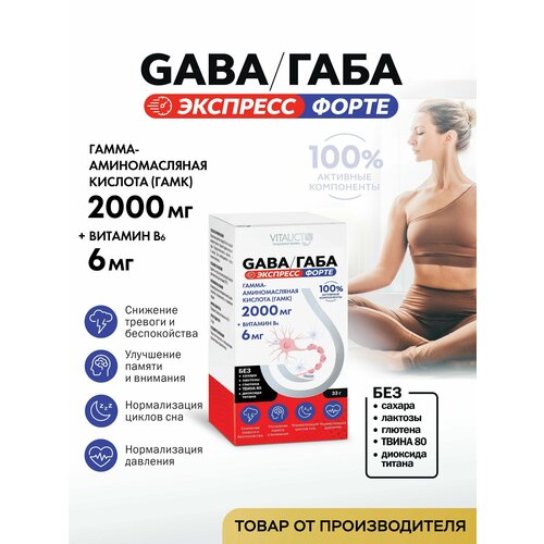���� GABA/���� 2000 �� �������� ����� �������, �����-������������� �������
