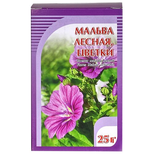 ���� ����� ����� ������ ������, 25 �