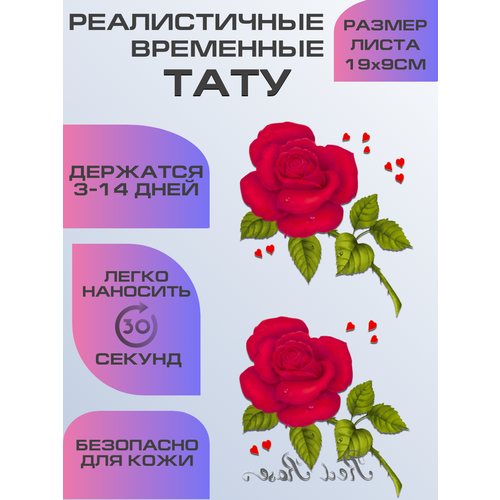 ���� ���� ���������� ��������������, ��������� ����