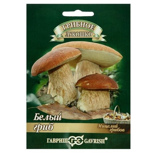 ���� ������� �� �������� 