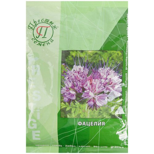 ���� ������� 500 �