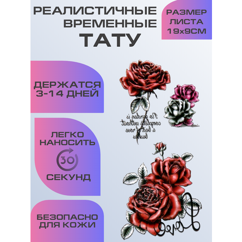 ���� ���� ���������� ��������������, ��������� ����