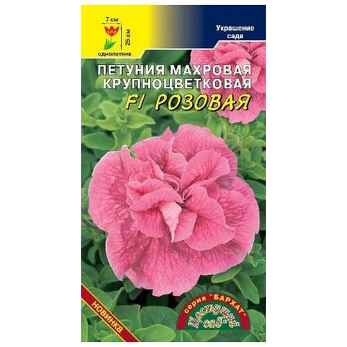 ���� ������ �������� ��� 