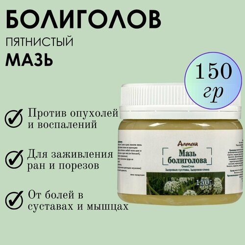 ���� ���� ����������