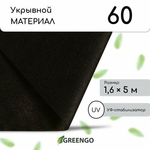   , 5 ? 1.6 ,  60 /?,   -, , Greengo,  20%