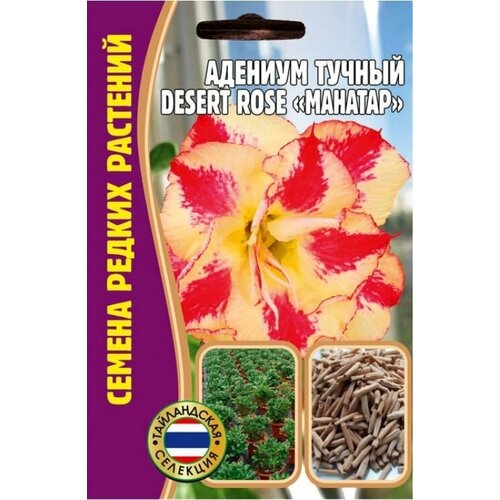    Desert rose MAHATAP (1  * 3 )  