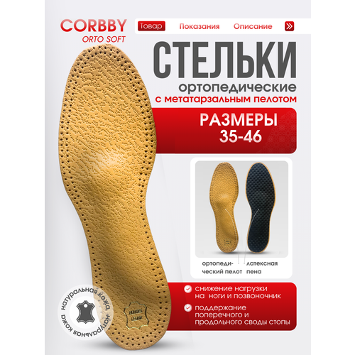 ���� ������� �������������� Orto Soft
