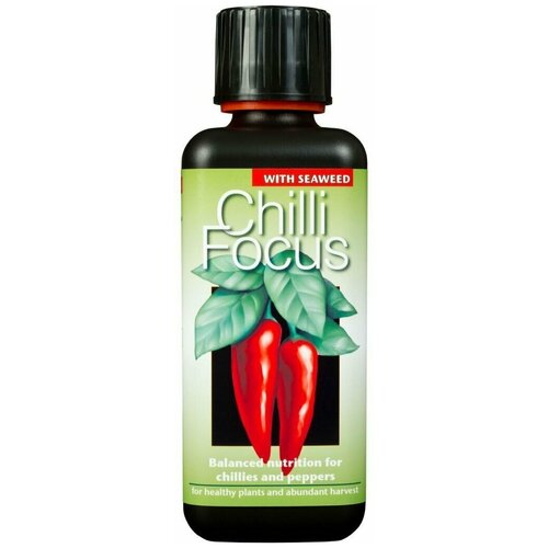       Growth Technology Chilli Focus  -     , -,   