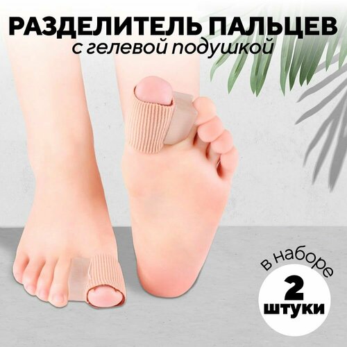 ���� ����������� �������� ������ ���� � ����������-���������/�������� �������� ������/ ��������������