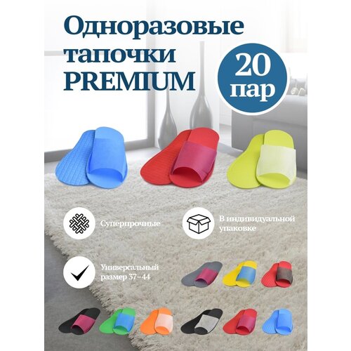 ���� ������� �����������