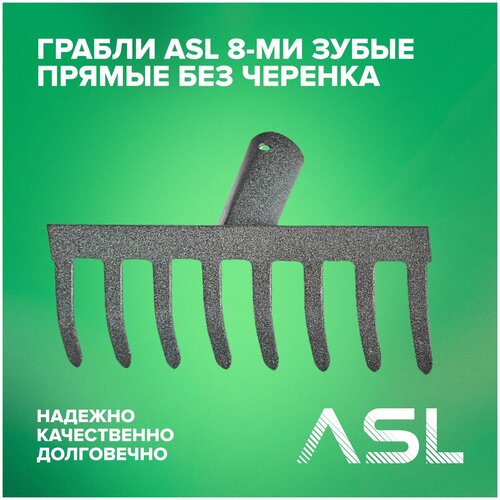   ASL 8-    