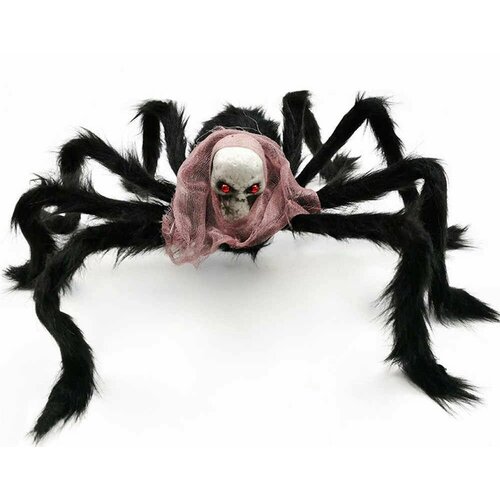 ���� ���� � �������