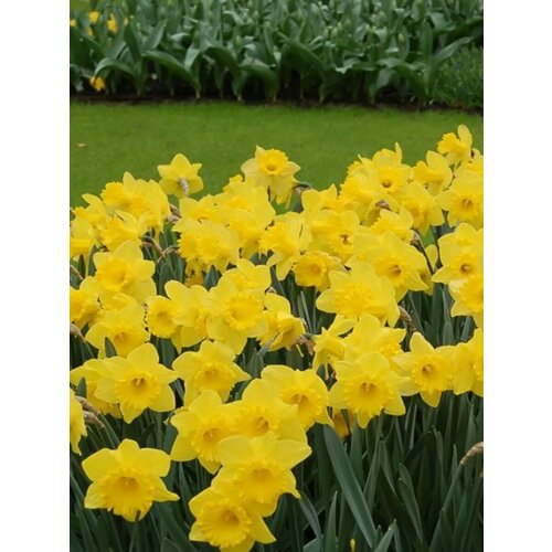 ���� �������� ������� ���� ������ - 10 ��.