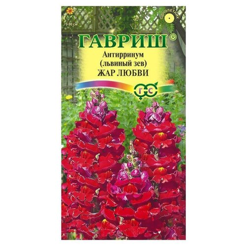 ���� ������ ������ ������� ��� ������������ ��� �����