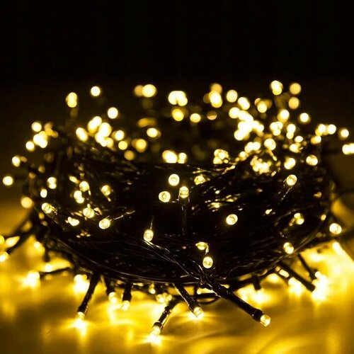 ���� ������������ ���������� �������� �� ���� �� ���� / ������� ��������������� ���� ����������� 25 ������ ������ ����