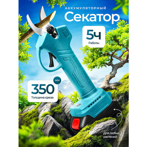 ���� ������� ��������������, �������, � 2 ���