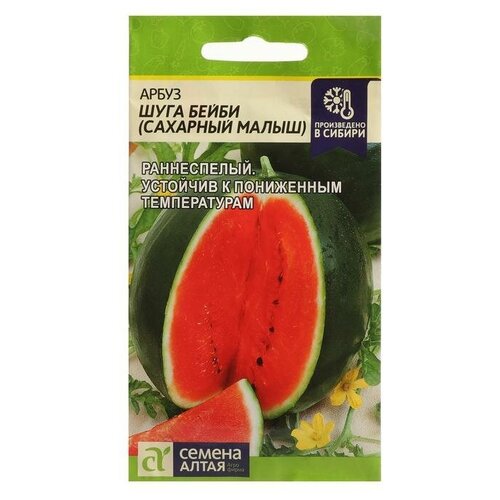 ���� ������ ����� 