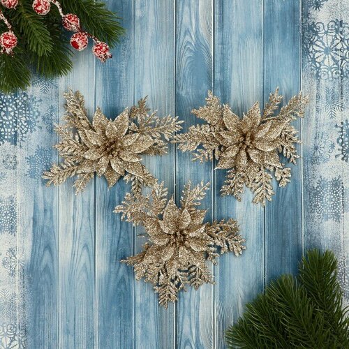 ���� ��������� ������� 