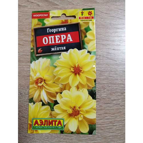 ���� �������� ����� ������ ��. � 7 �����