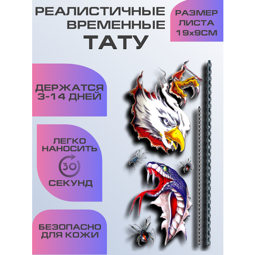 ���� ���� ���������� ��������������, ��������� ����